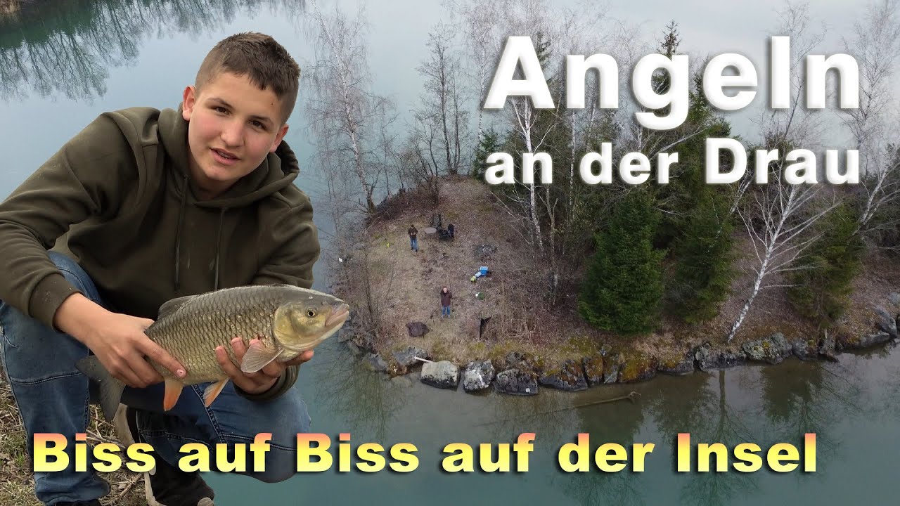 Fischen an der Drau | Biss auf Biss auf der Insel - Angeln am Fluss auf Döbel und Brachsen / Brassen