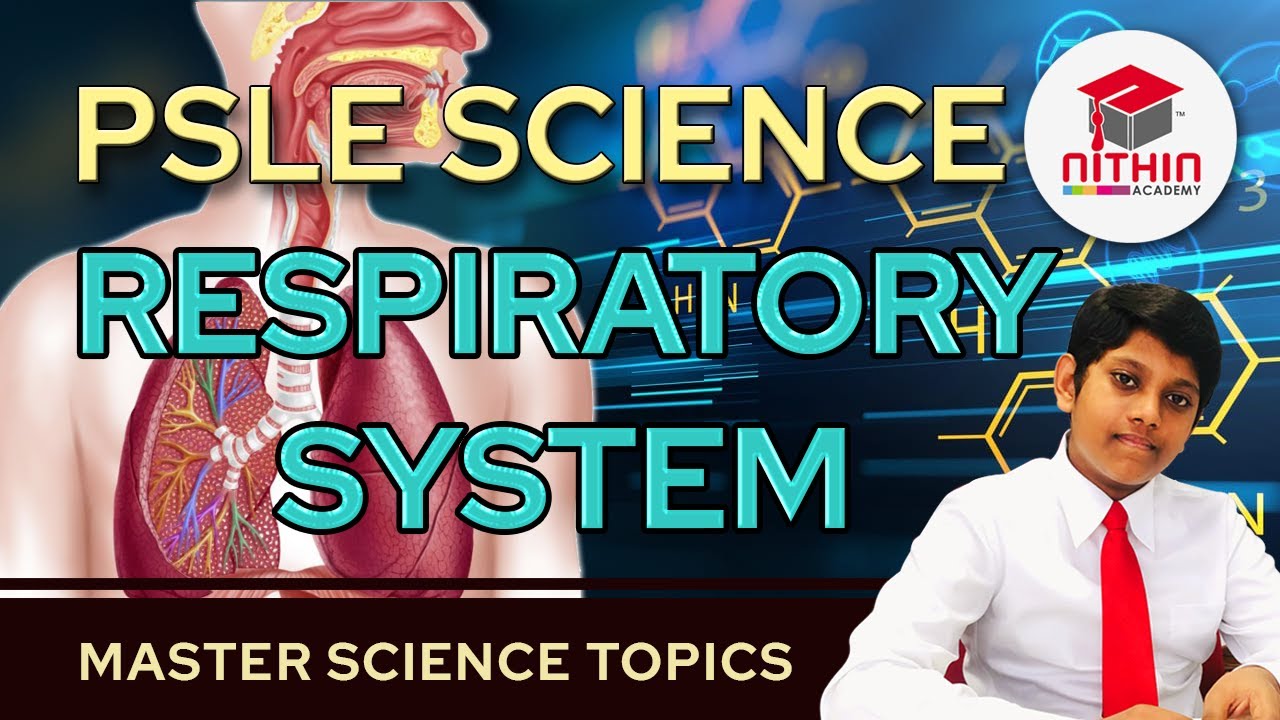 PSLE SCIENCE | RESPIRATORY SYSTEM |  Primary 5 & 6 Singapore | Master Science Topics