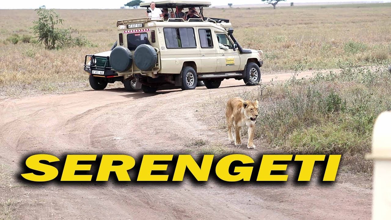 SIMBA Walivyopita MBELE ya  WABUNGE Wenye ULEMAVU SERENGETI