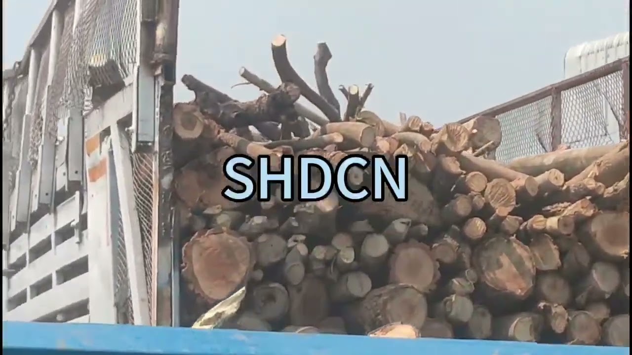 Why SHD Wood Chippers Are Essential for Green Industry 🌱 | Powerful, Efficient & Sustainable!