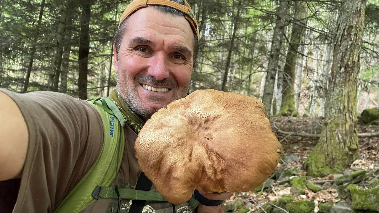 FUNGHI PORCINI CHE PASSIONE #18 2022-06-25 🍄 #18