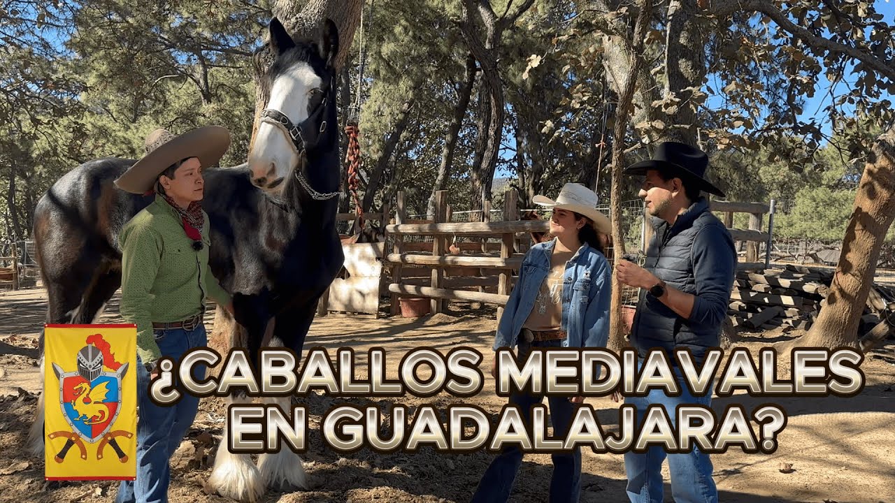 ¿Caballos MEDIEVALES en GUADALAJARA?