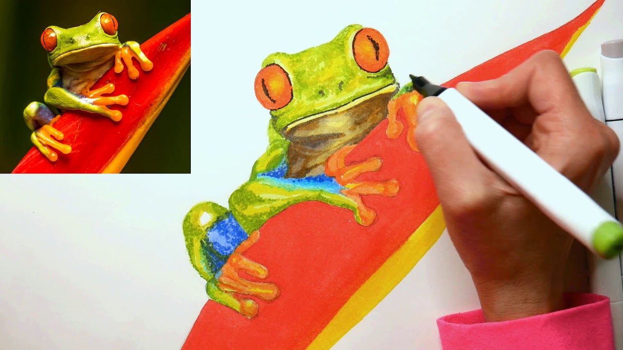 Let's Draw a Tree Frog with Markers! 30% off marker sale // Sketchbook Sunday