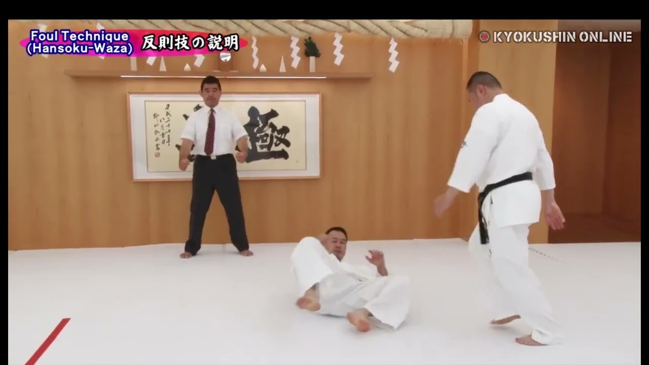 IKO Kyokushin Kumite Regeln Erwachsene und Kinder - Mit Kommentar