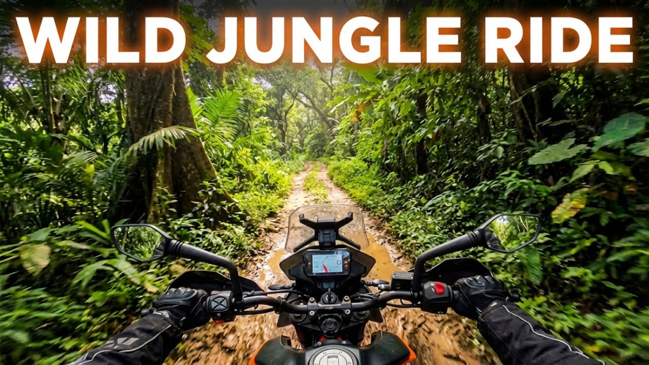 Jungle Ride Adventure | Wild Forest Trails