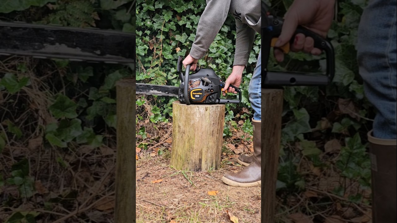 Poulan PRO 4216 Cold Start #chainsaw