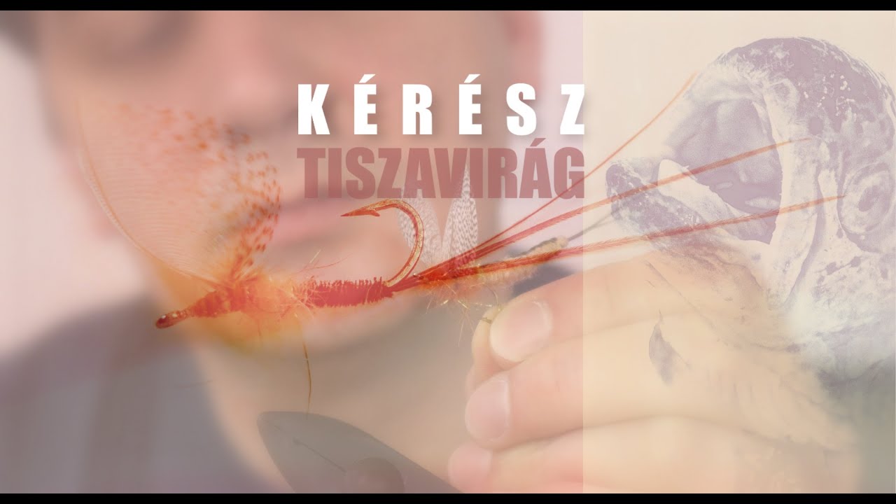 Műl&eacute;gy k&ouml;t&eacute;s magyarorsz&aacute;gi legyez&eacute;s - Fant&aacute;zial&eacute;gy k&eacute;r&eacute;sz k&ouml;t&eacute;s hazai vizekre 2
