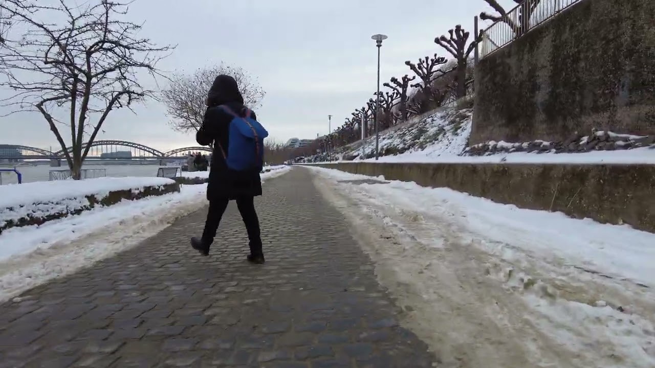 Rheinufer Köln 2024