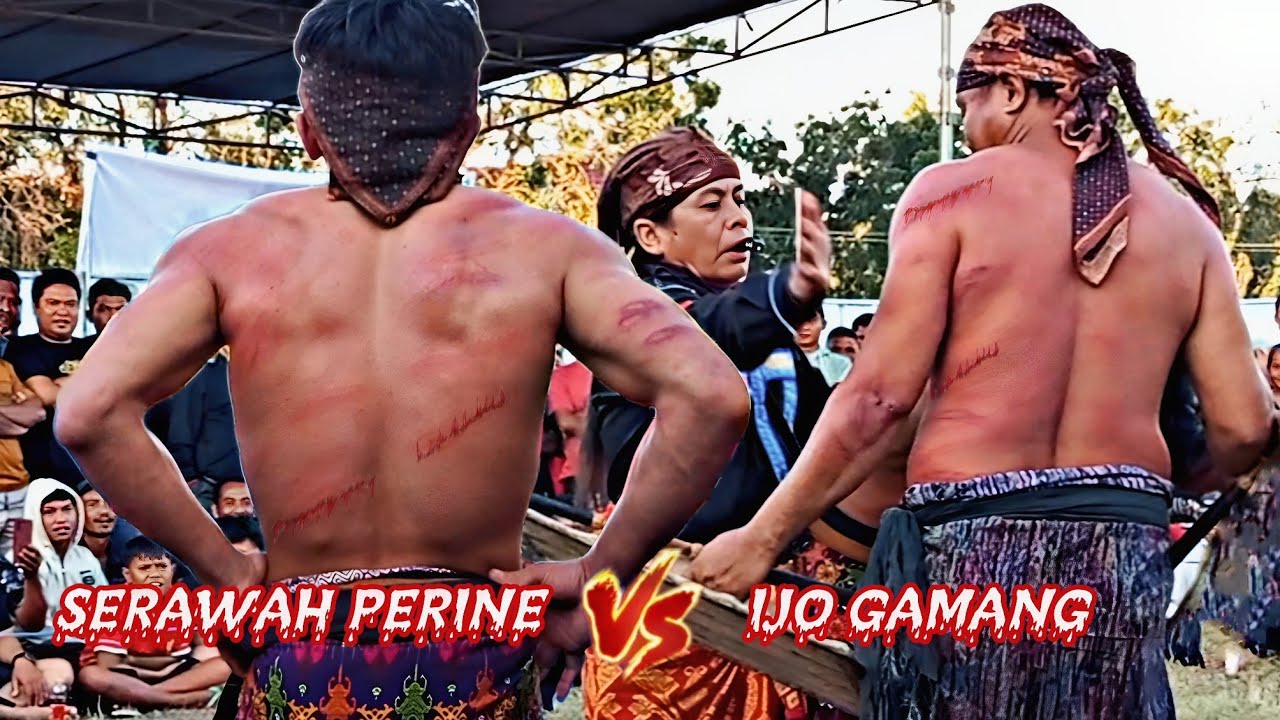 SERAWAH PERINE Vs IJO GAMANG || Peresean terbaru tanjung teros 