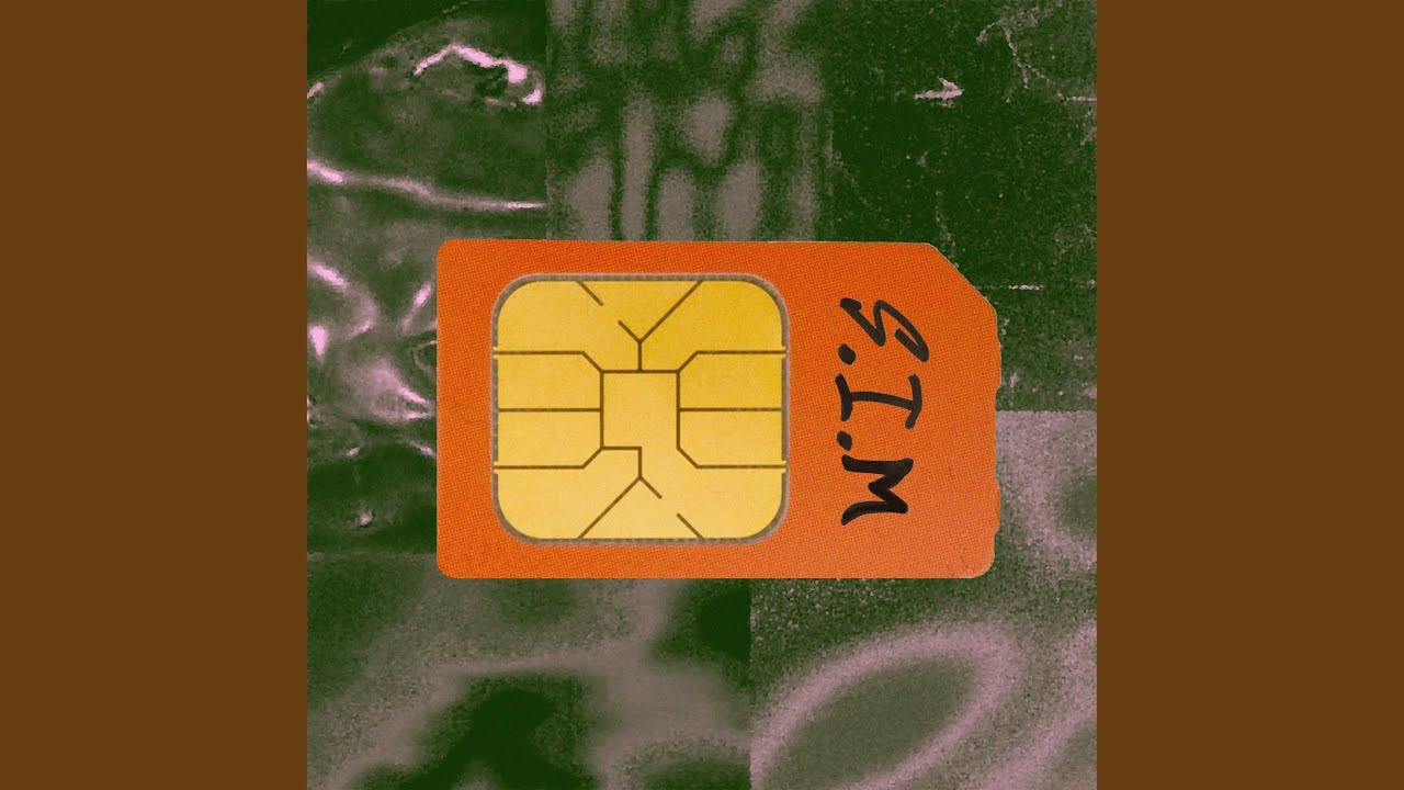 S.I.M
