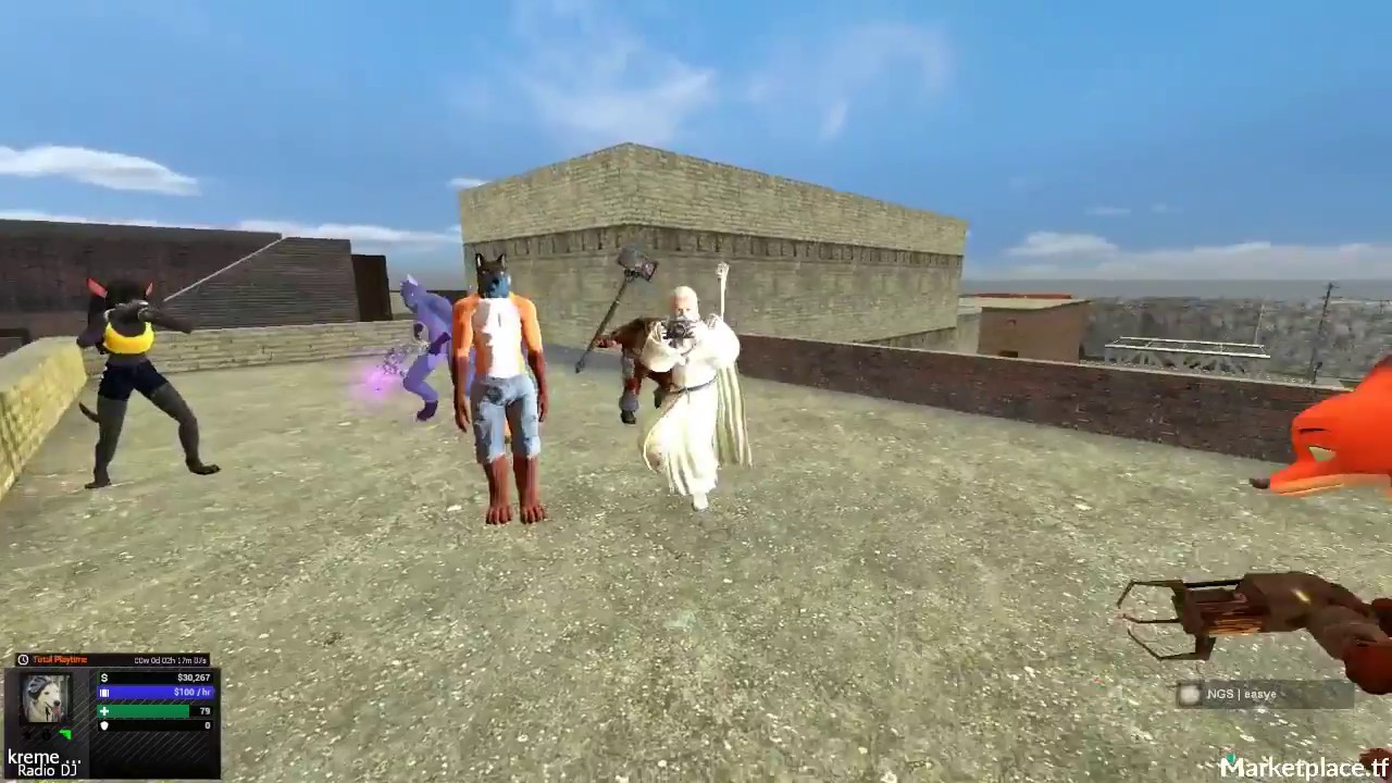 GMOD: Город мехов