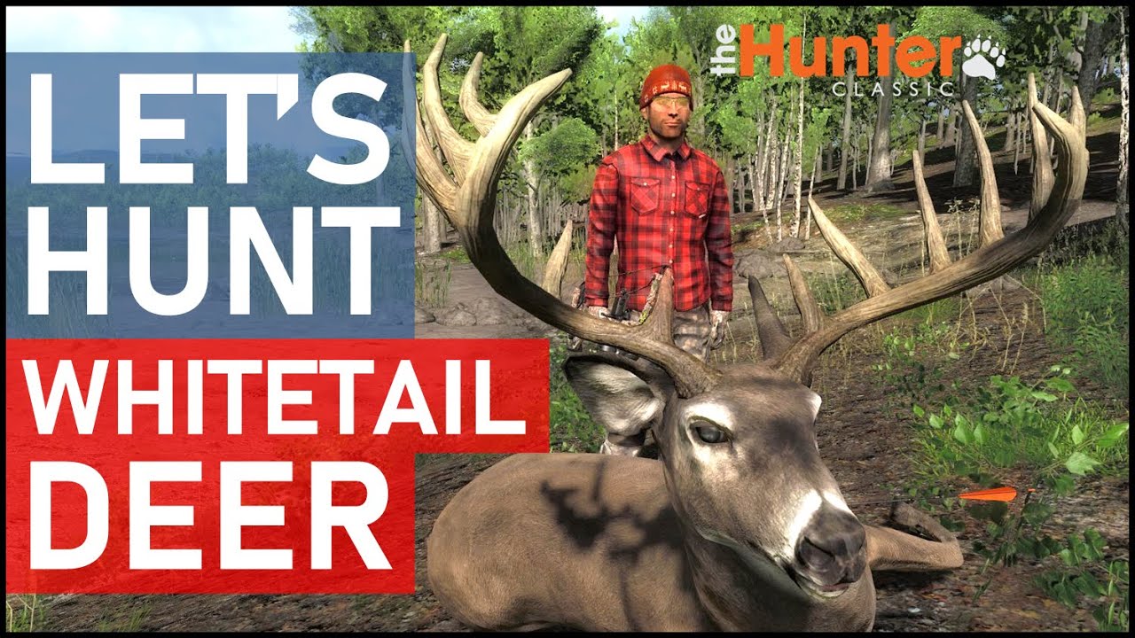 Let's Hunt WHITETAIL DEER - theHunter Classic