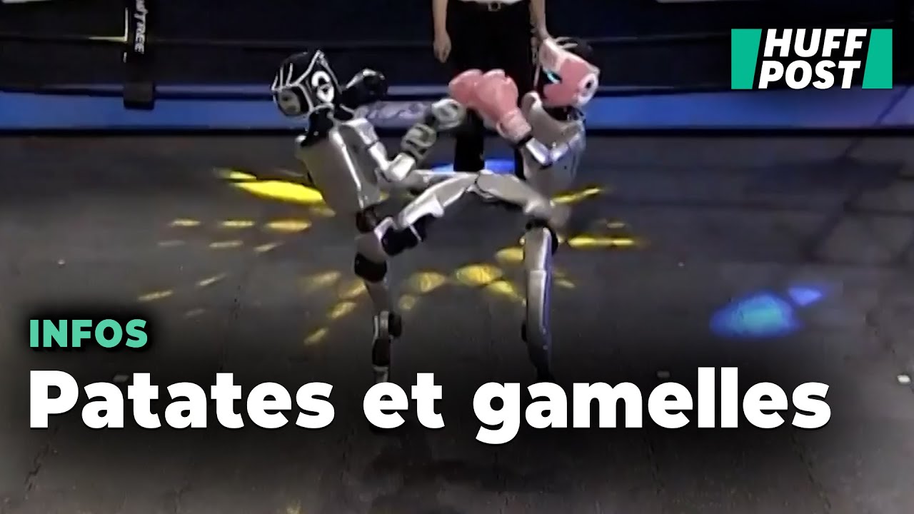 En Chine, le premier combat de boxe disput&eacute; par des robots &eacute;tait surtout hilarant