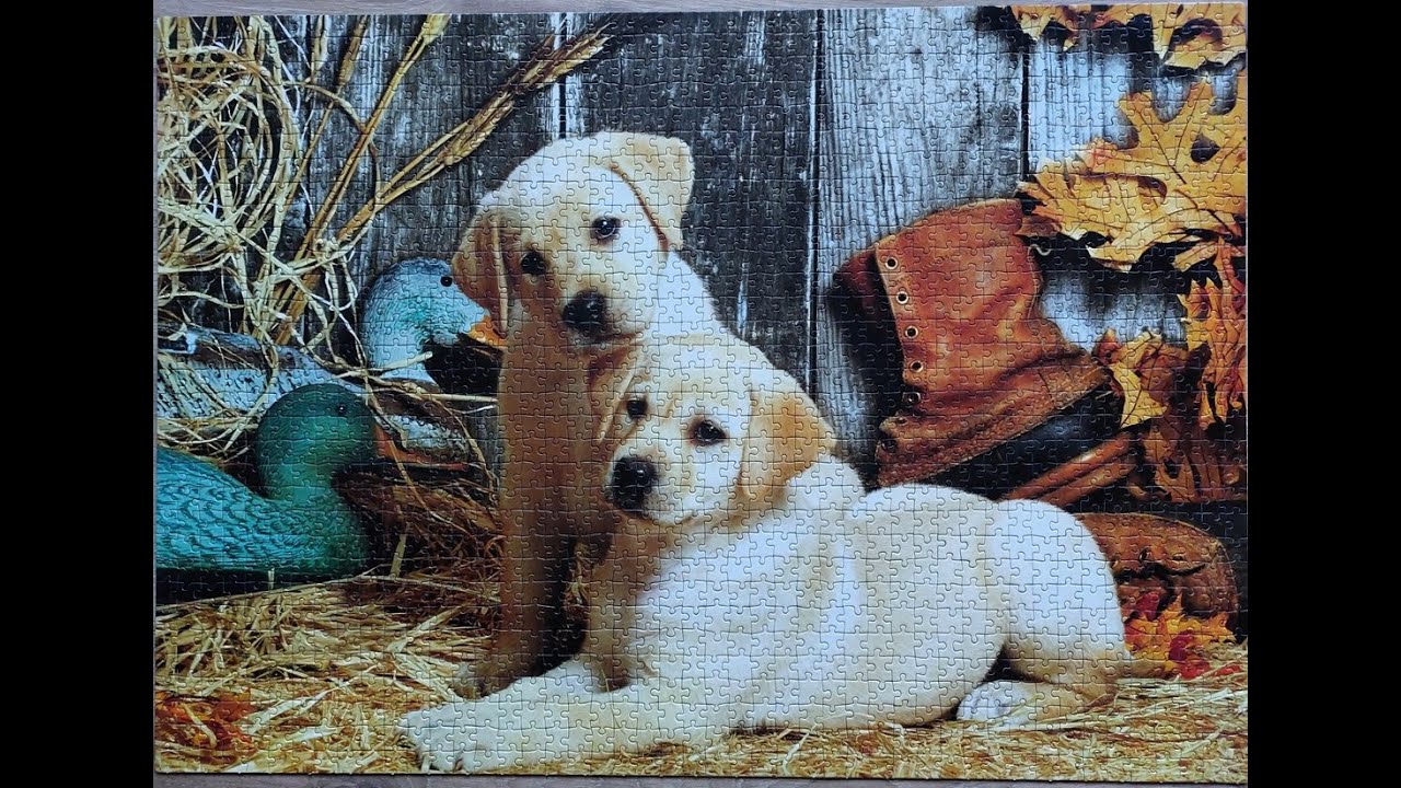 Wenn man sich an einem 1.500er Puzzle die Zähne ausbeißt...