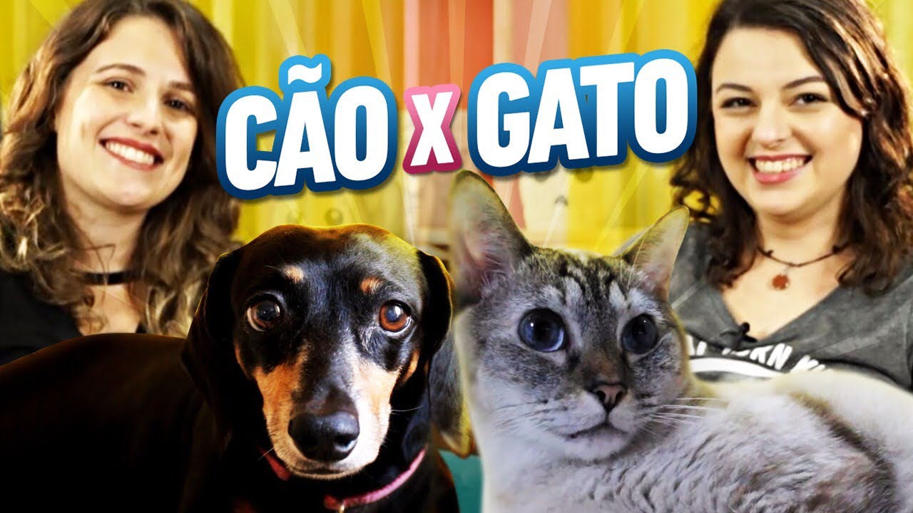 Qual a diferença entre CACHORRO e GATO? ft. Isa Gateira
