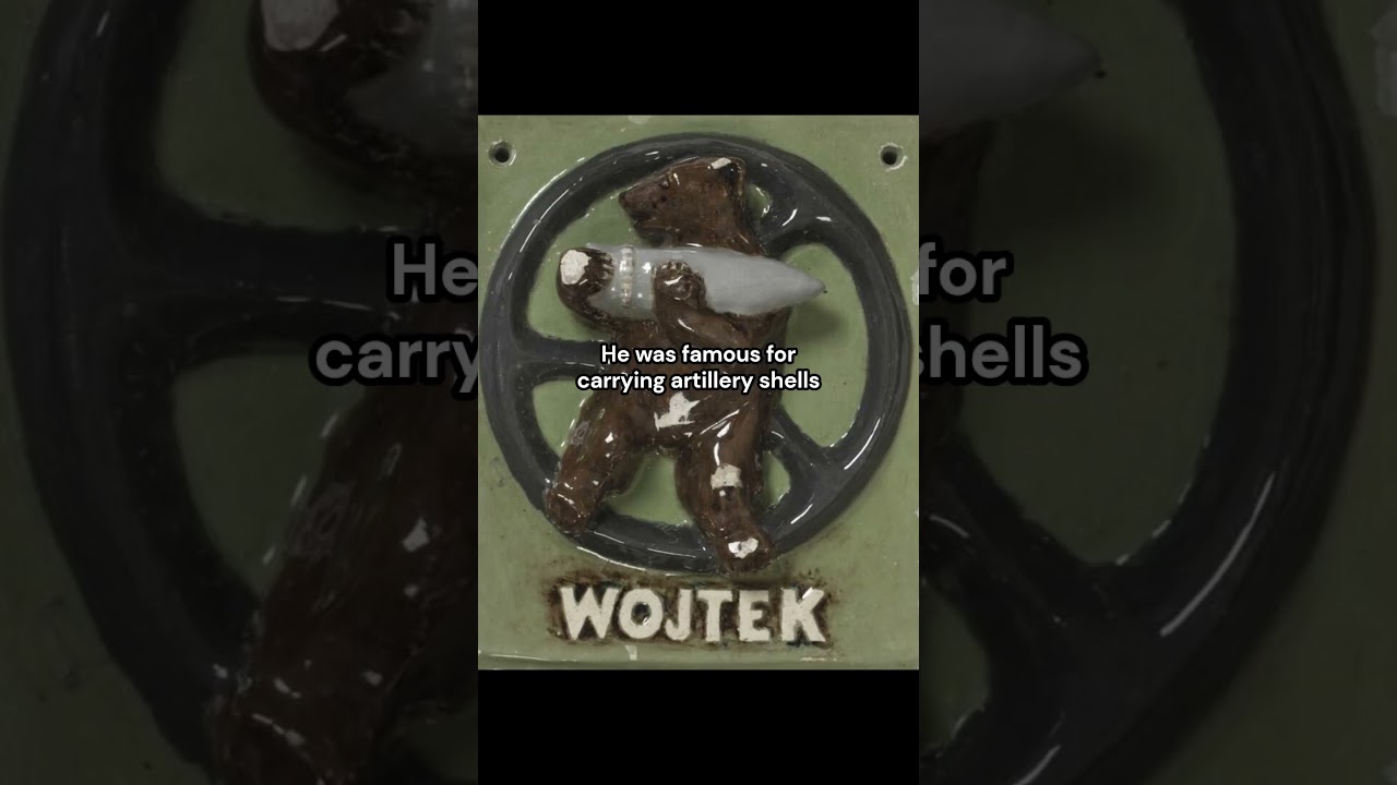 The bear who was a private in the Polish army | Wojtek the Bear #history #historical