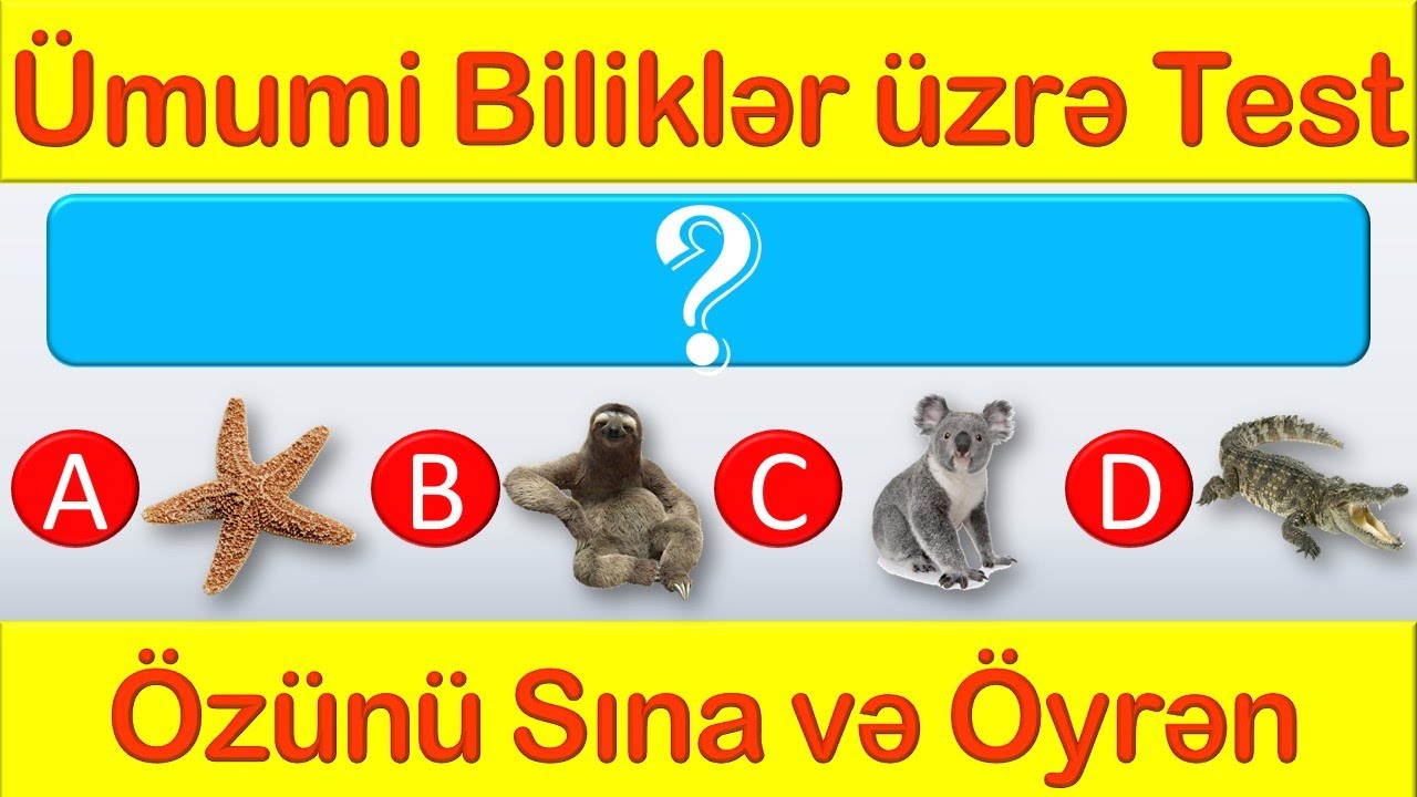 Ümumi biliklər üzrə test - Qarışıq Mövzu