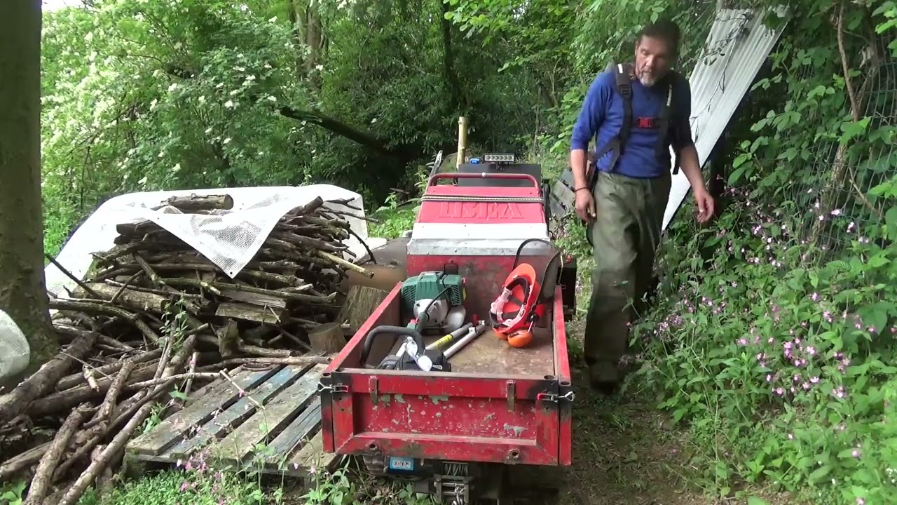 pulisco la zona sopra da erba e piante contro la recinzione...