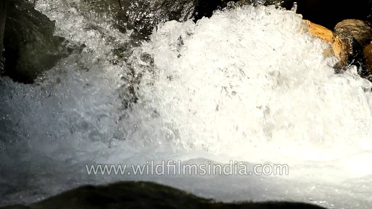 Assi Ganga, a tributary of Bhagirathi river