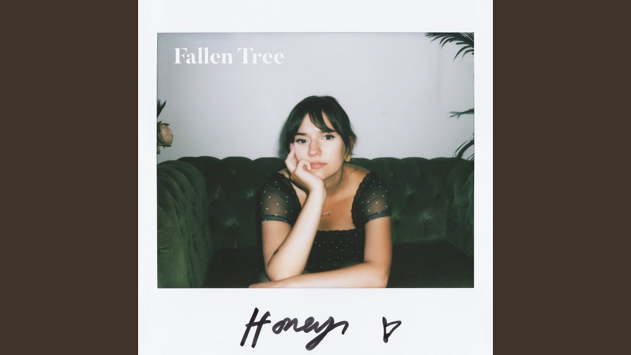 Fallen Tree