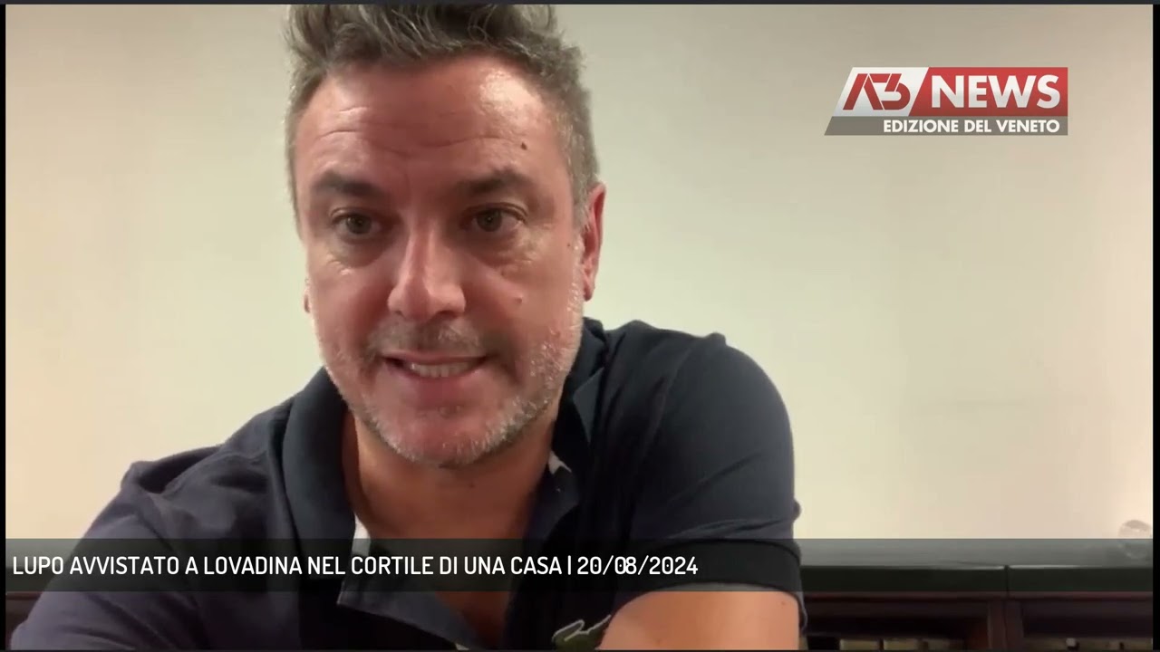 LUPO AVVISTATO A LOVADINA NEL CORTILE DI UNA CASA | 20/08/2024