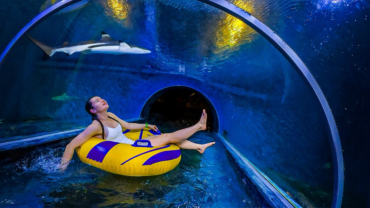 Yes&hellip; There Are REAL Sharks 🦈 Inside This Water Slide