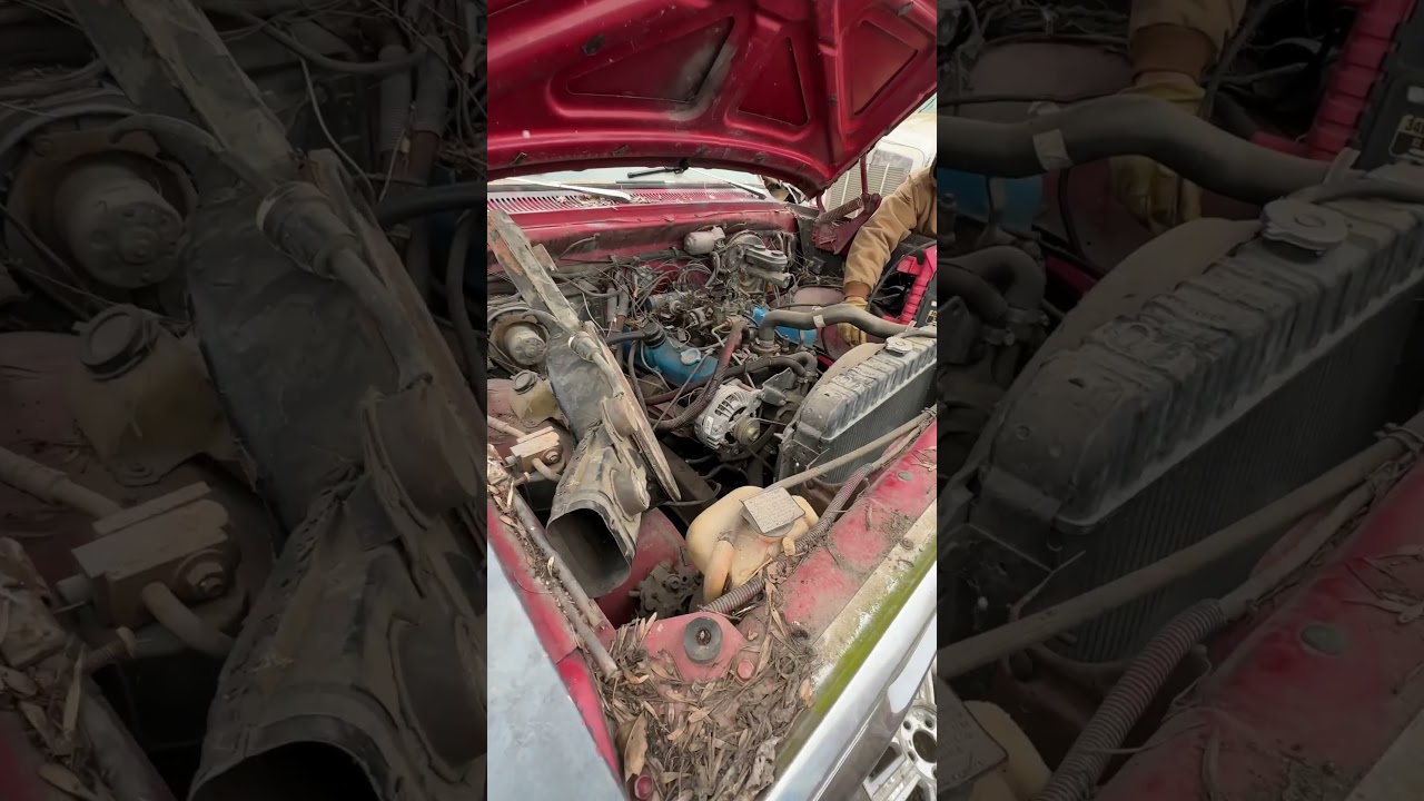 Please insult me for the crimes I&rsquo;ve committed #1stgen #dodge #oldtruck #ramcharger #cummins