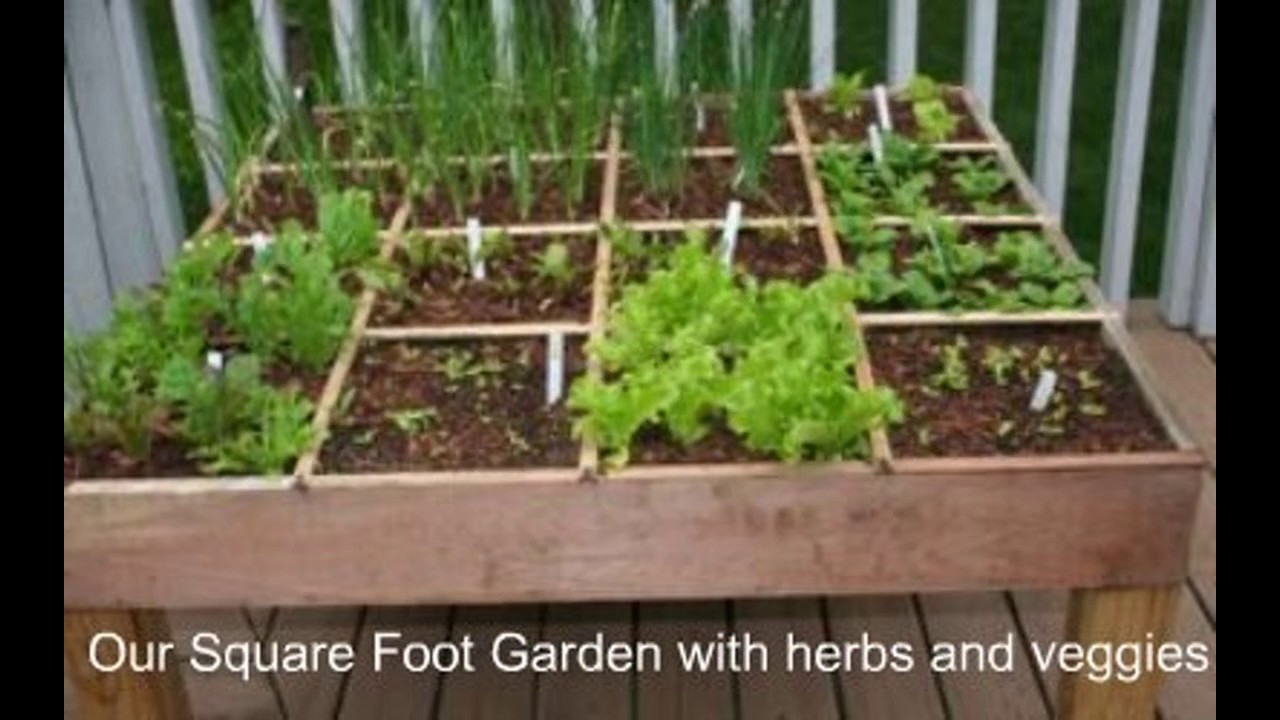 Les meilleures id&eacute;es de design de jardin d'herbes