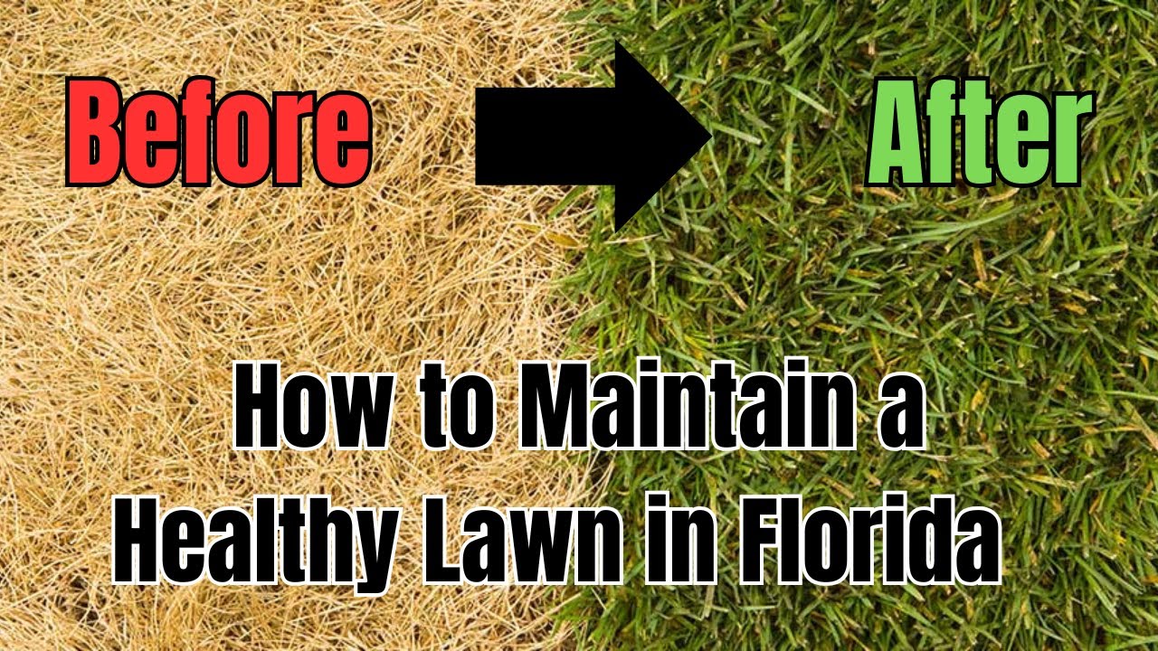 Florida Lawn Care Guide for Homeowners, HOAs