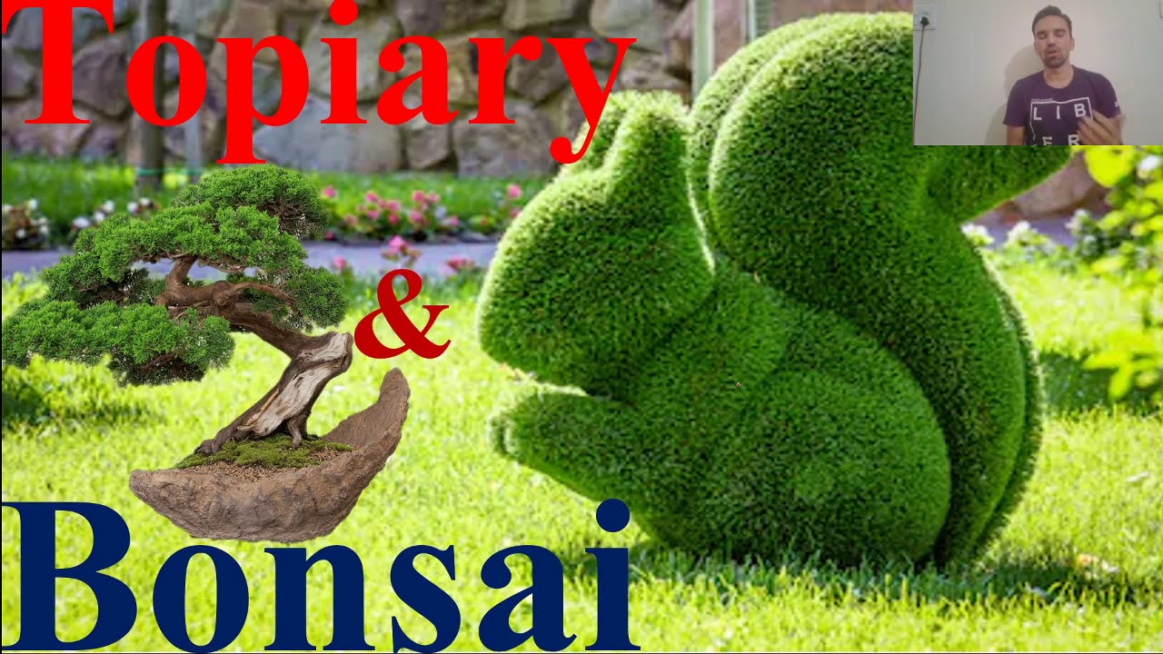 Topiary & Bonsai for DDA-SO and Other agriculture competitive exams
