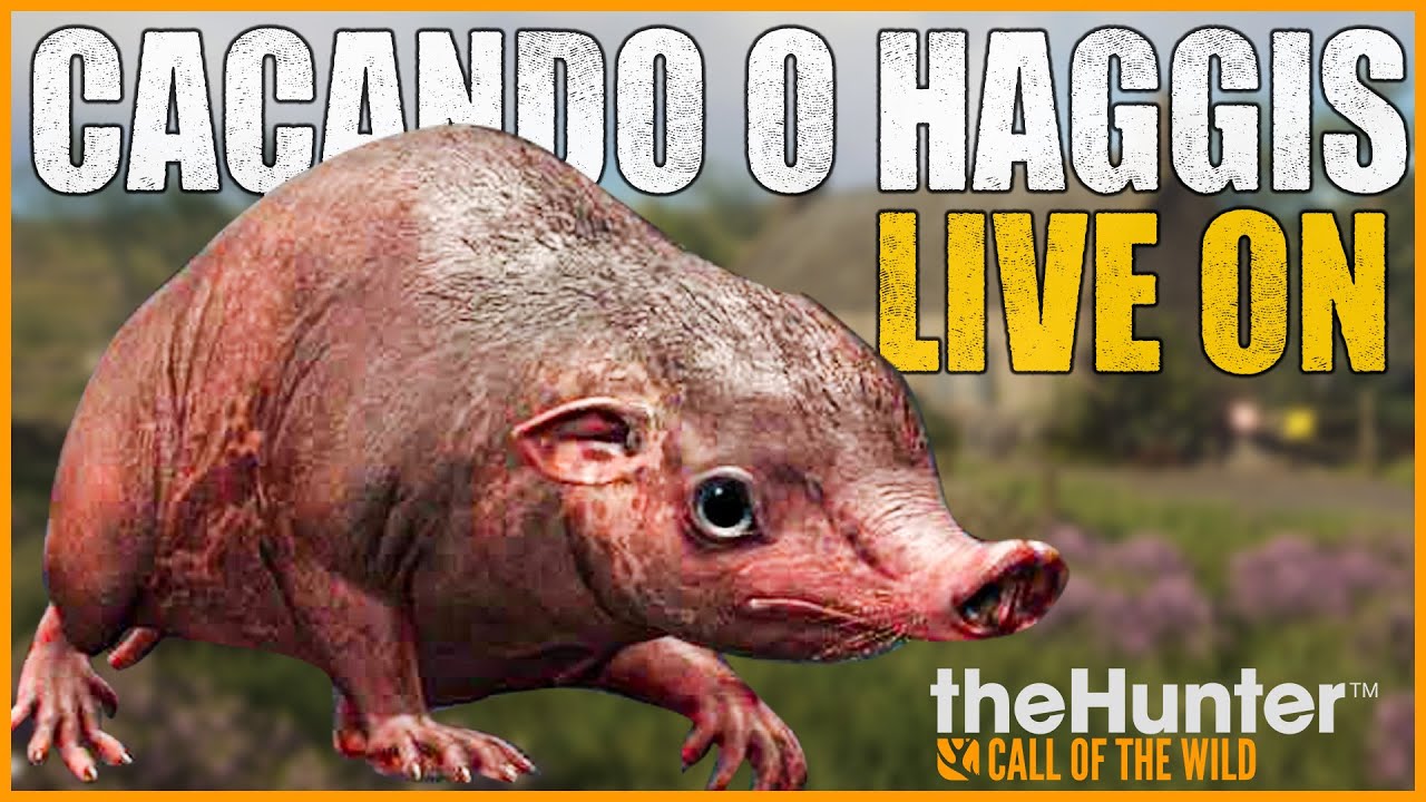 🔴LIVE ON  - MAIS UM DIA CAÇANDO O HAGGIS SELVAGEM -   !pix !BONE