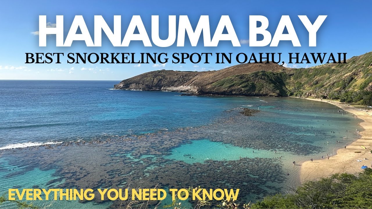 HANAUMA BAY STATE PARK ,HAWAII (ONE OF THE BEST SNORKELING SPOT IN OAHU) Everything you need to know
