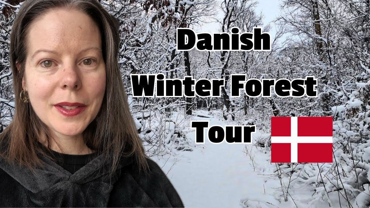 Soft Spoken Denmark Forest Tour 🌳 Magical Winter Walk | ASMR Denmark