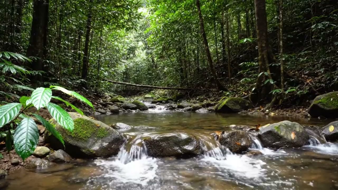 Clear Flowing River Sounds 🌊 Peaceful Nature Water for Deep Sleep, Relaxation & Stress Relief