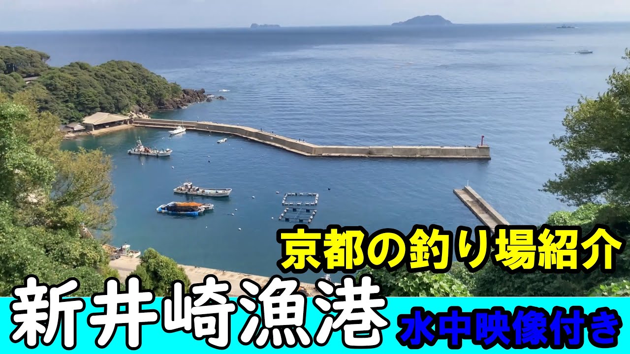 京都の新井崎漁港の釣りスポットを水中映像を付けて紹介：イカ釣りの聖地