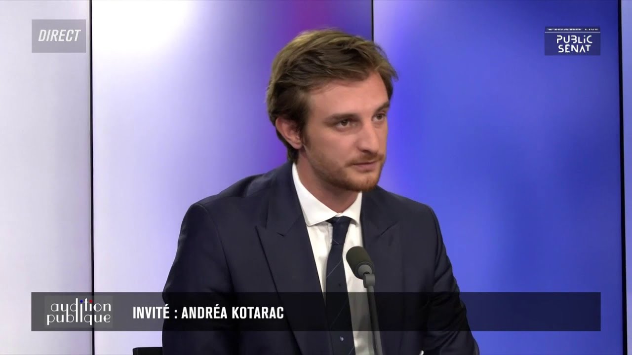 Un groupe à l’Assemblée démontrerait « la progression du RN dans le pays » selon Andréa Kotarac (RN)