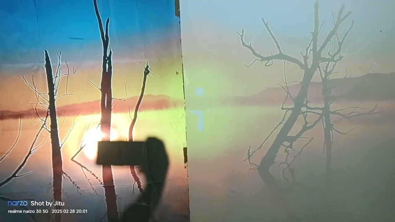 ALR screen vs white screen test video// Compare alr vs white screen