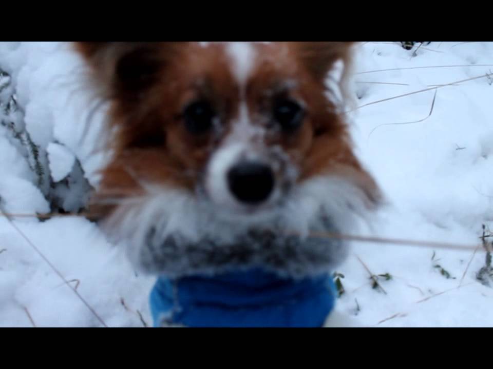 Timi =)