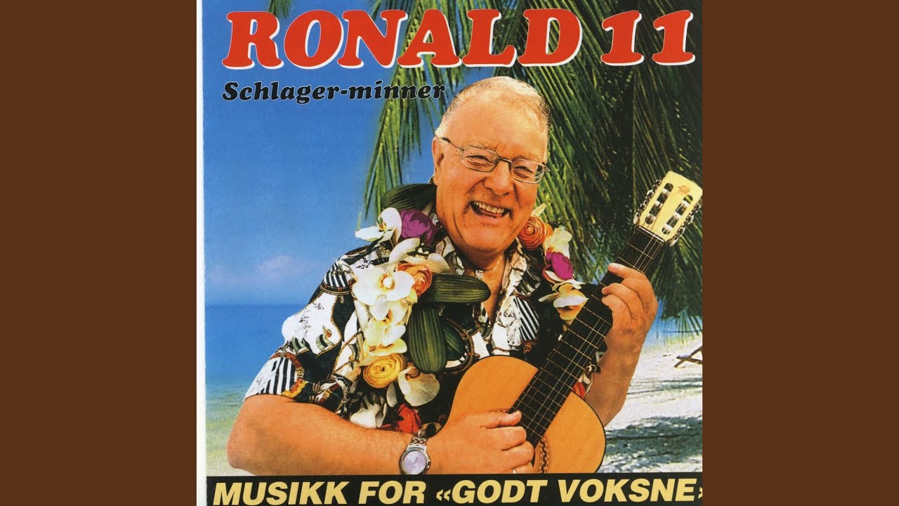Det Var Du Som Sa Nei