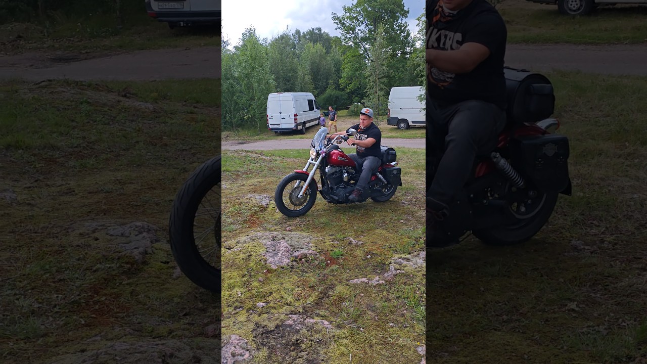 С добрым утром, Harley-Davidson Dyna Twin Cam 96!