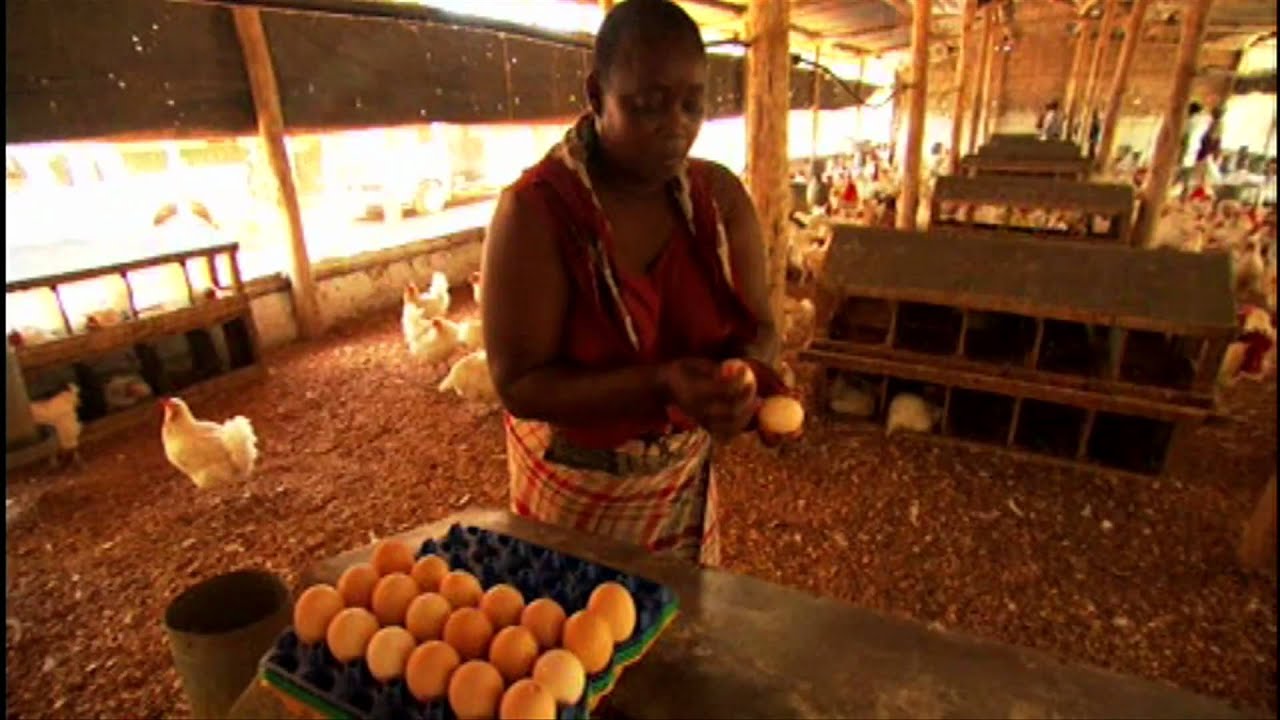 Africa's Women Farmers