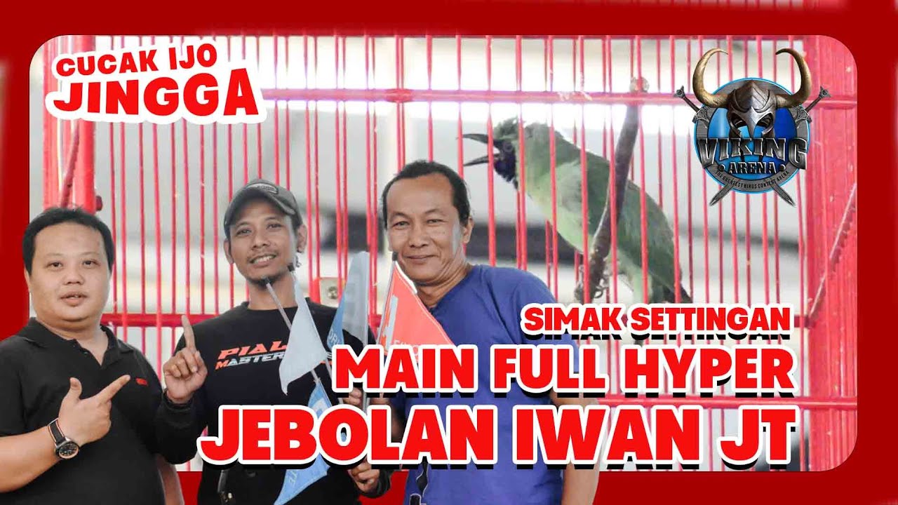 [CI JINGGA] Settingan Cucak Ijo MAIN FULL HYPER CUCAK IJO JINGGA JEBOLAN IWAN JT SMG HoBi ID