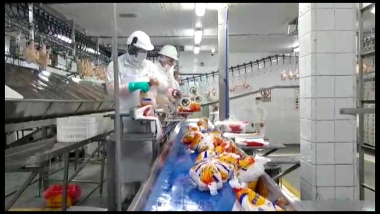 Faena y comercializaci&oacute;n del pollo parrillero / Integraci&oacute;n av&iacute;cola de Uni&oacute;n Agr&iacute;cola de Avellaneda