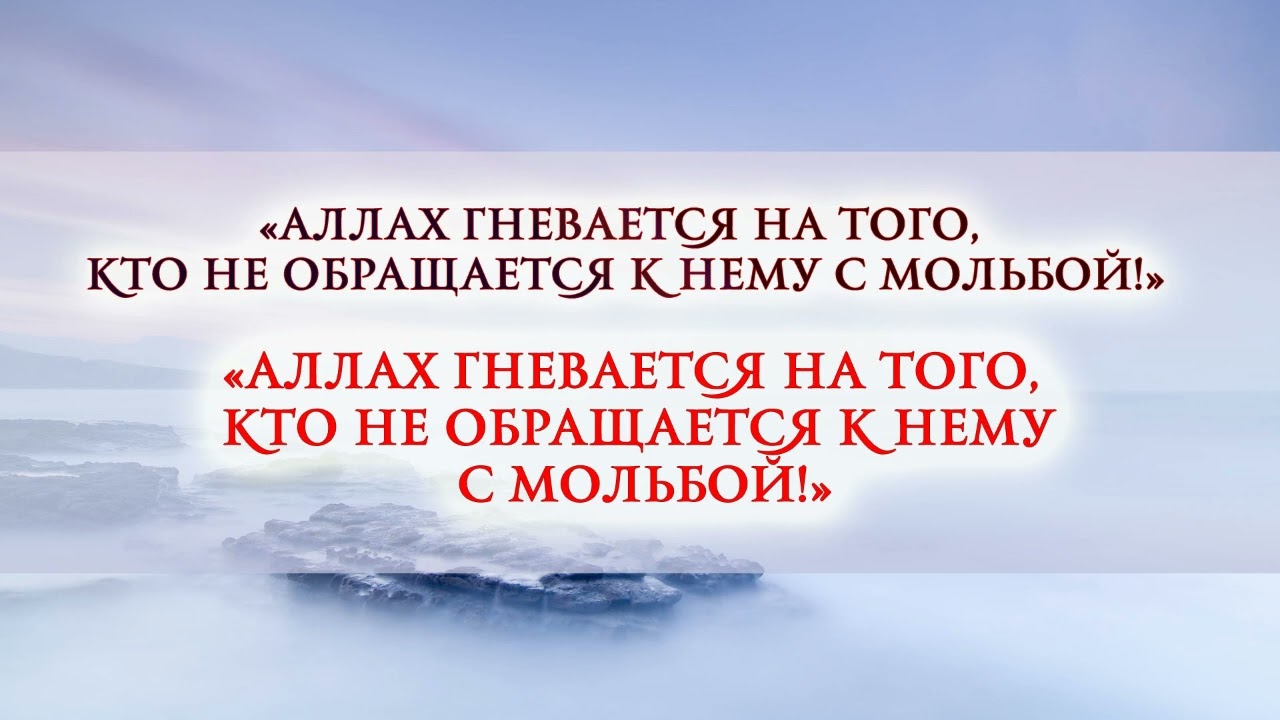 Пятничная проповедь на тему: «Мольба (Ду'а)» | Абу Малик Сабир аль-Ляхджи