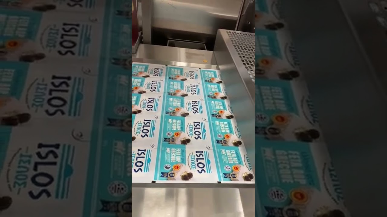 MK R530 ProSelection machine in producten (Multivac frame)