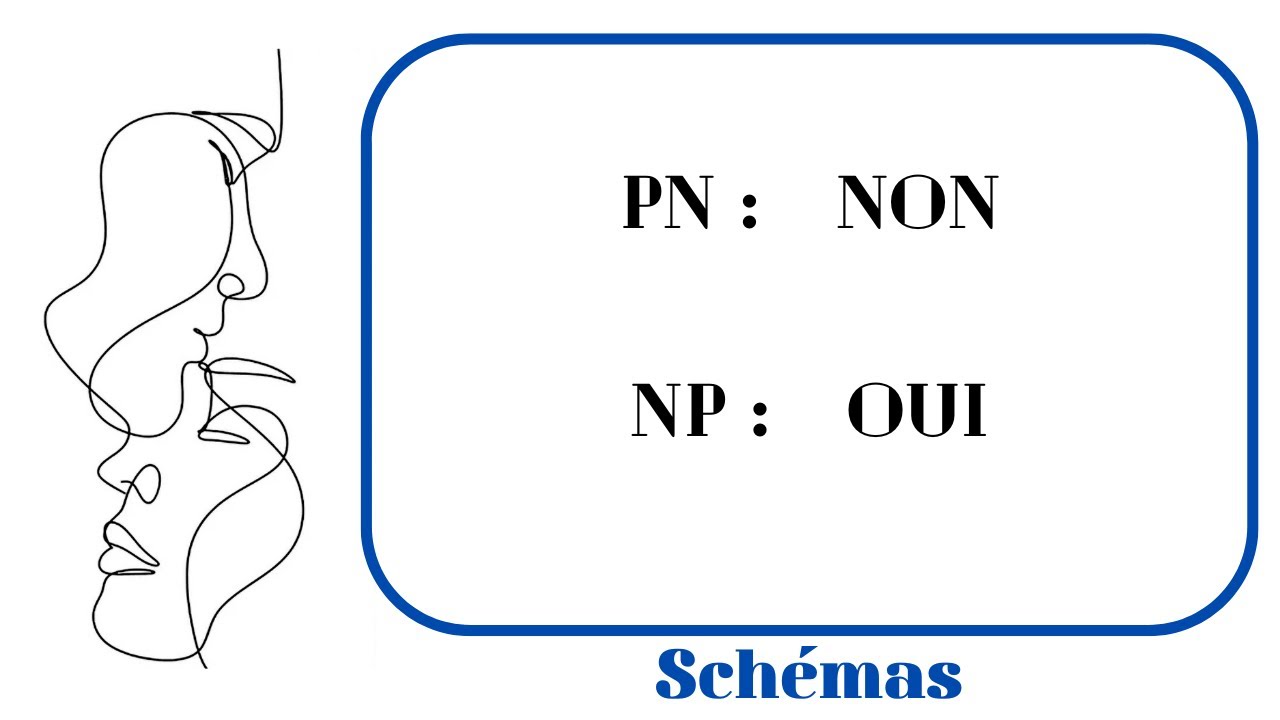 🔹🔷 PN :  non    NP :  oui