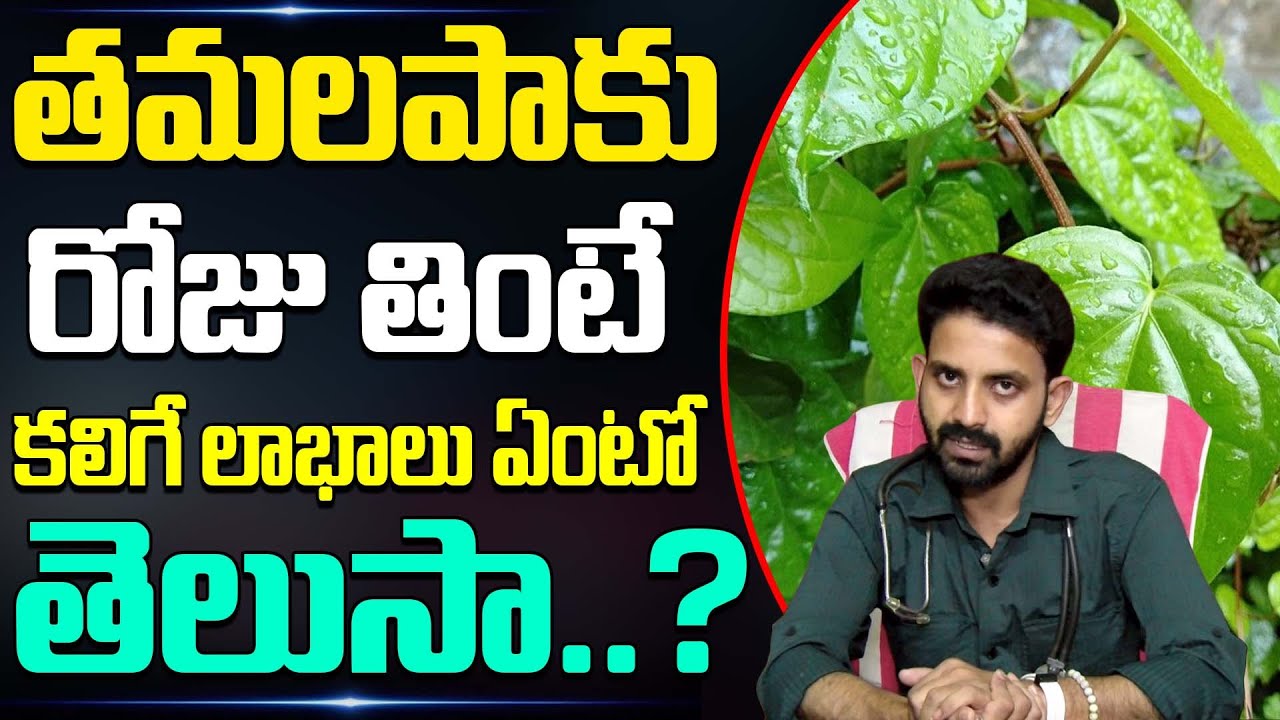 తమలపాకు రోజు తింటే ఏమవుతుందో తెలుసా..? || Dr Aditya Ranganath || Betel Leaves Benefits | BRK Doctors