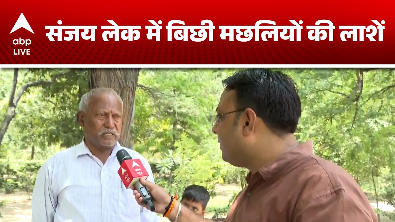 Heat Wave: संजय लेक में बिछी मछलियों की लाशें |ABPLIVE