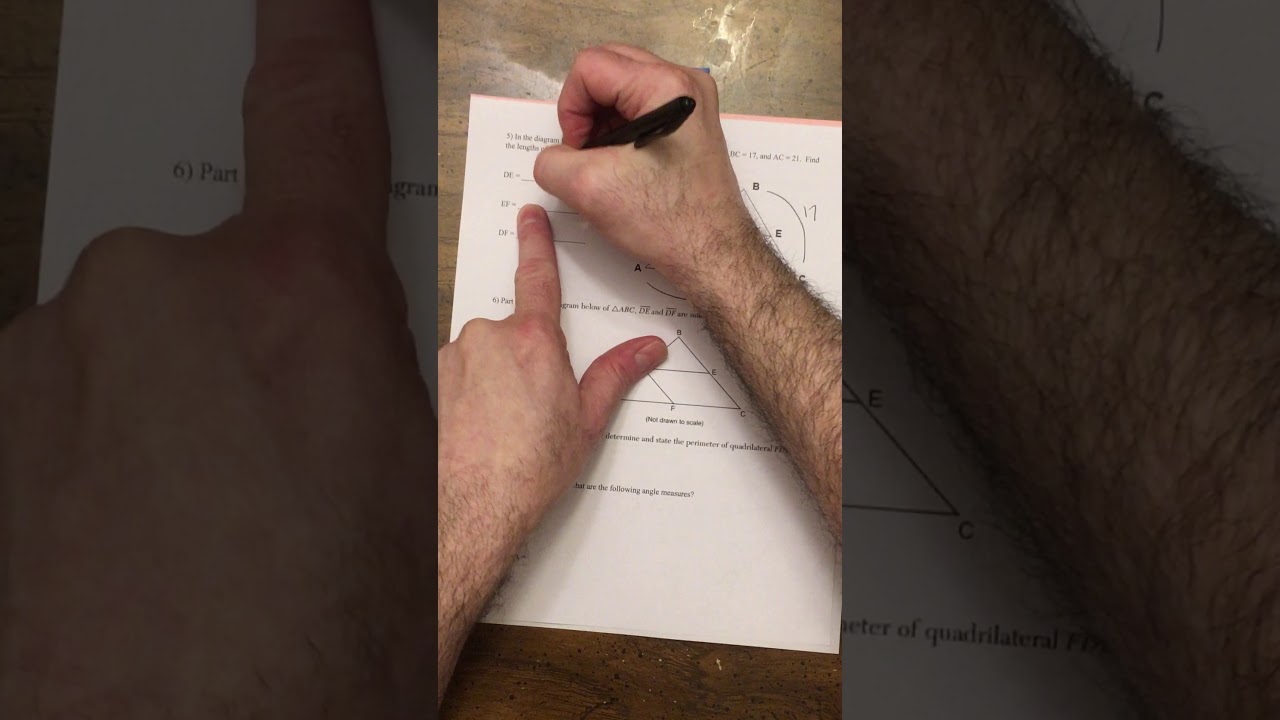 Mid segments