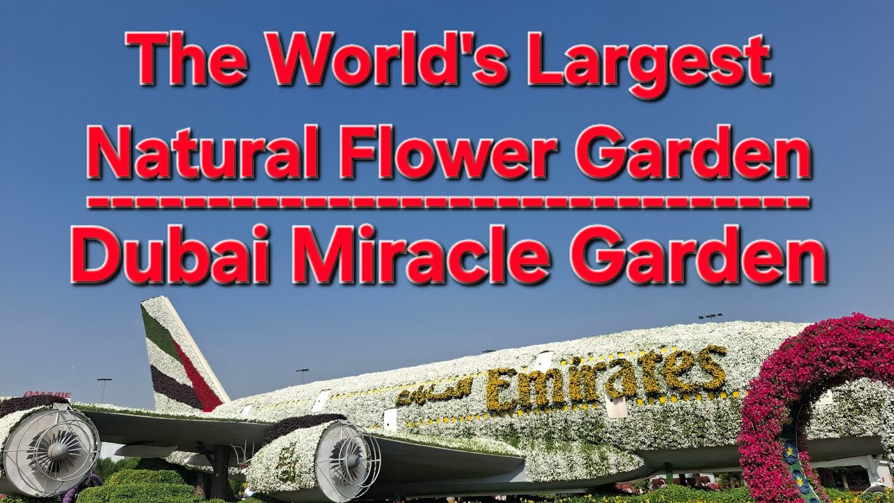 THE WORLD'S LARGEST NATURAL FLOWER GARDEN | DUBAI MIRACLE GARDEN